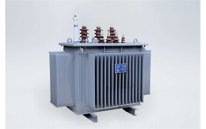 S13 Oil-immersed Power Transformer