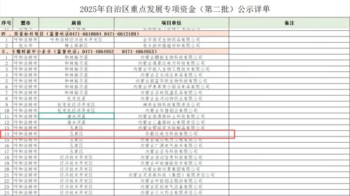 Detailed Public List for the 2025 Autonomous Region Special Fund for Key Development (Second Batch)