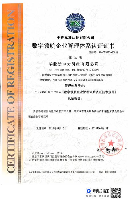 Digital Leadership Enterprise Management System Certification Certificate